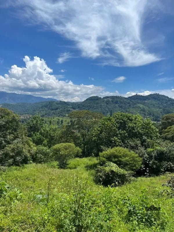 TERRENO EN VENTA EN EL PULTE — Terreno en Venta en Zona 16, Guatemala, Ciudad — foto 1 de 2