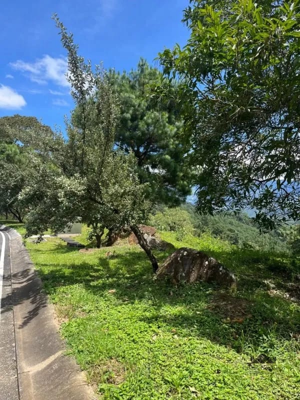 TERRENO EN VENTA EN EL PULTE — Terreno en Venta en Zona 16, Guatemala, Ciudad — foto 2 de 2