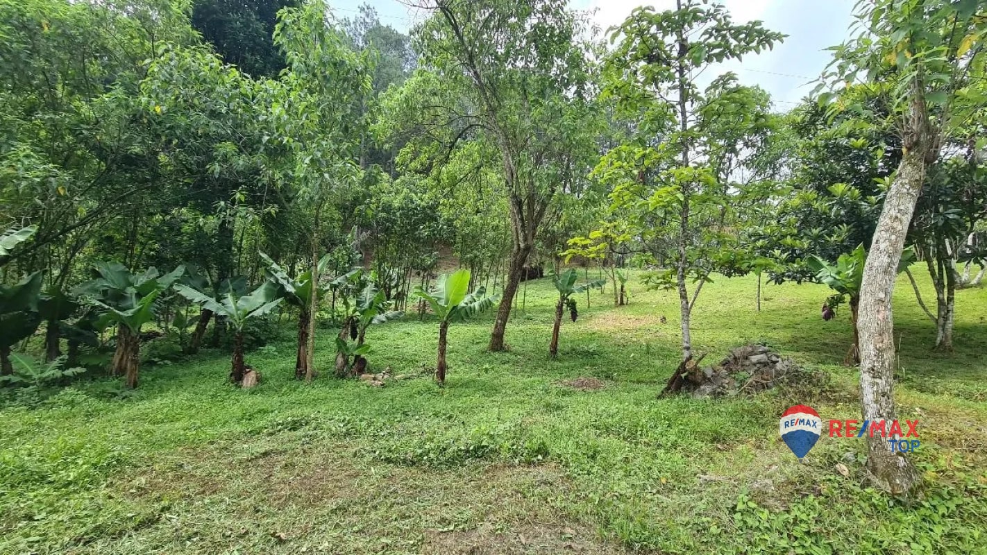 TERRENO COMERCIAL DE 1 MANZANA  ENTRADA DE COBÁN, ALTA VERAPAZ - 3