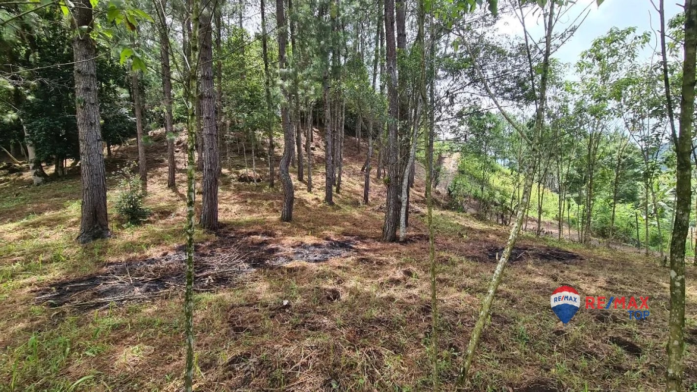 TERRENO COMERCIAL DE 1 MANZANA  ENTRADA DE COBÁN, ALTA VERAPAZ - 2