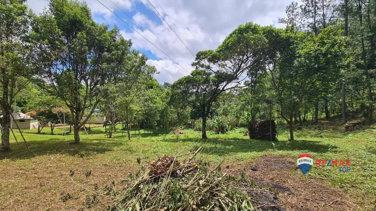 TERRENO COMERCIAL DE 1 MANZANA ENTRADA DE COBÁN, ALTA VERAPAZ - 1