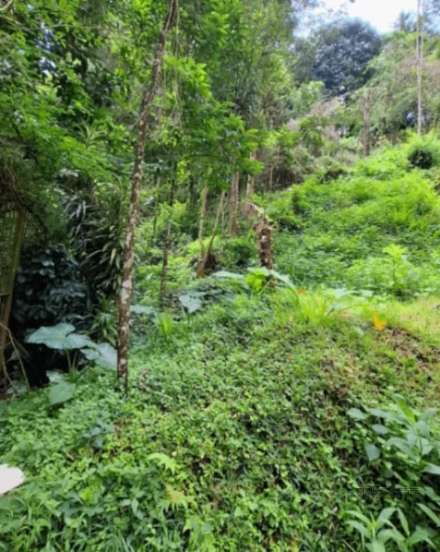 TERRENO EN VENTA EN LA MONTAÑA, ZONA 16 - 9