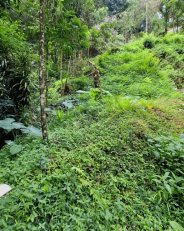 TERRENO EN VENTA EN LA MONTAÑA, ZONA 16 - 1