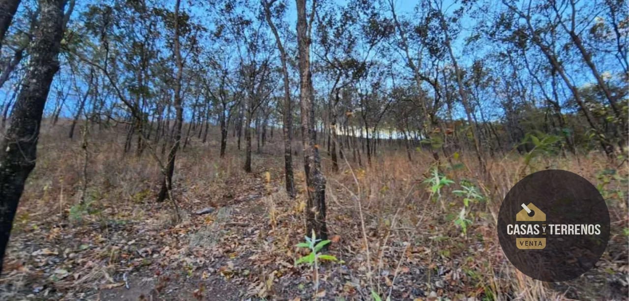 Terreno de 33 manzanas en palencia — Terreno en Venta en palencia, Guatemala, Ciudad — foto 2 de 7