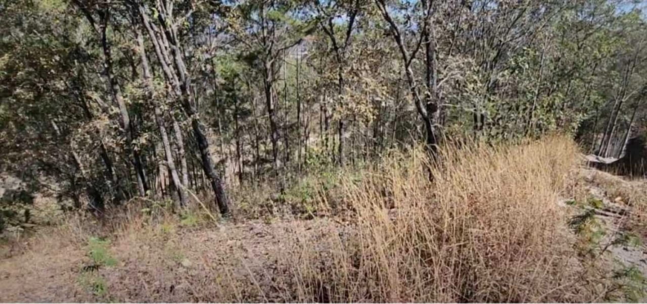 Terreno de 33 manzanas en palencia — Terreno en Venta en palencia, Guatemala, Ciudad — foto 4 de 7