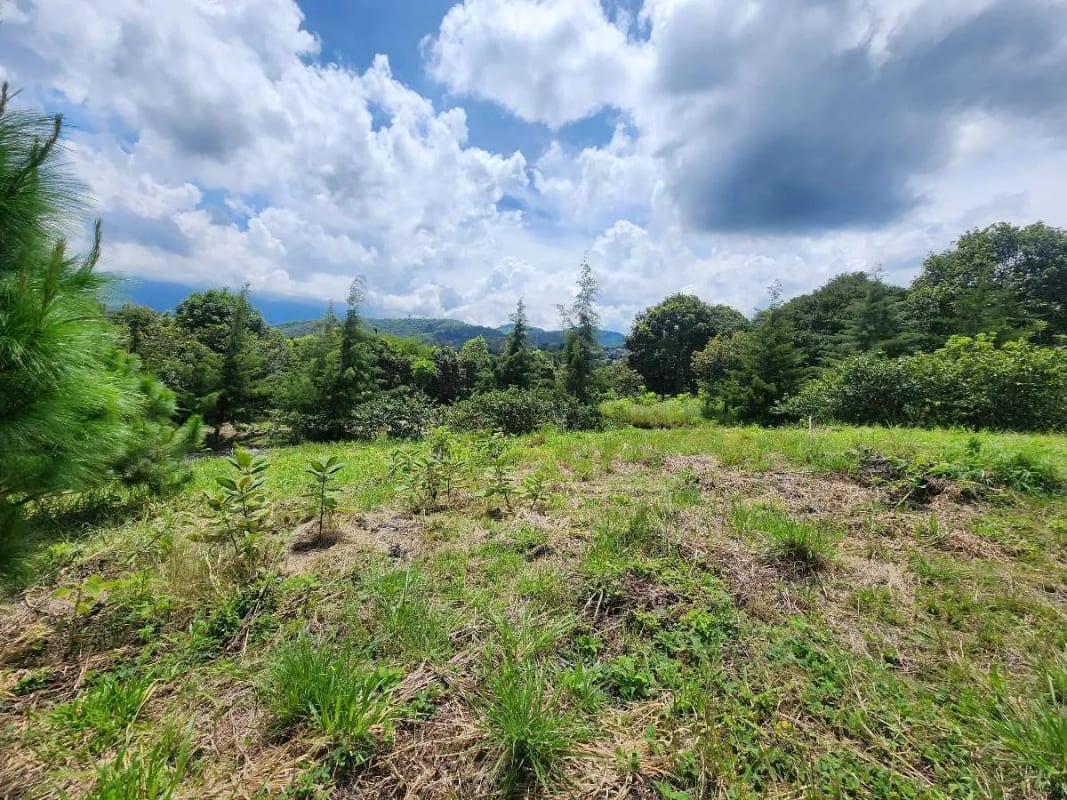 Terreno en Venta | El Pulté Golf – Sector 3, Lote T6, Zona 16 — Terreno en Venta en El Pulté Golf, Zona 16, Guatemala, Ciudad — foto 7 de 12
