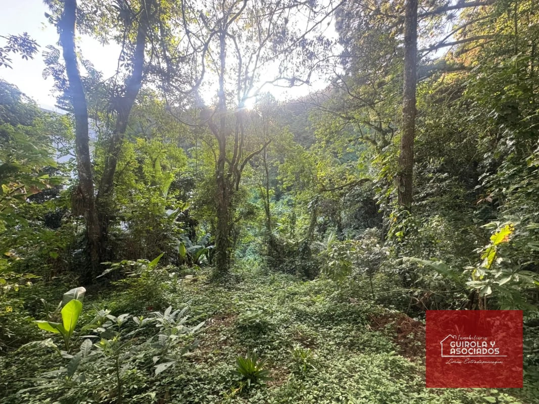 TERRENOS EN VENTA EN STA ROSALIA - 4