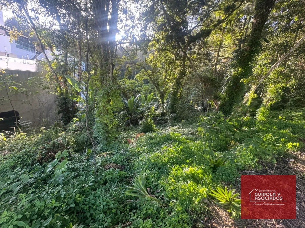 TERRENOS EN VENTA EN STA ROSALIA - 3