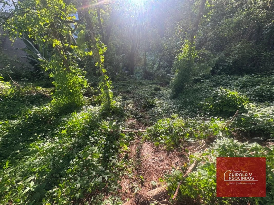 TERRENOS EN VENTA EN STA ROSALIA - 2