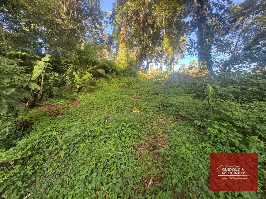 TERRENOS EN VENTA EN STA ROSALIA - 1