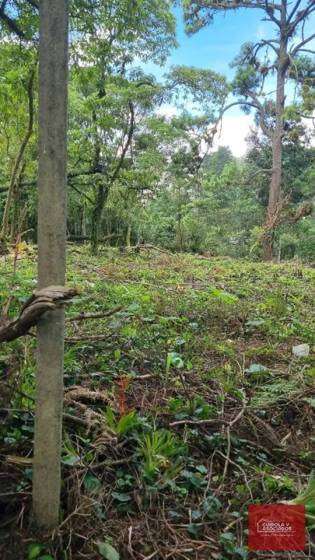 TERRENO EN VENTA EN STA ROSALIA - 3