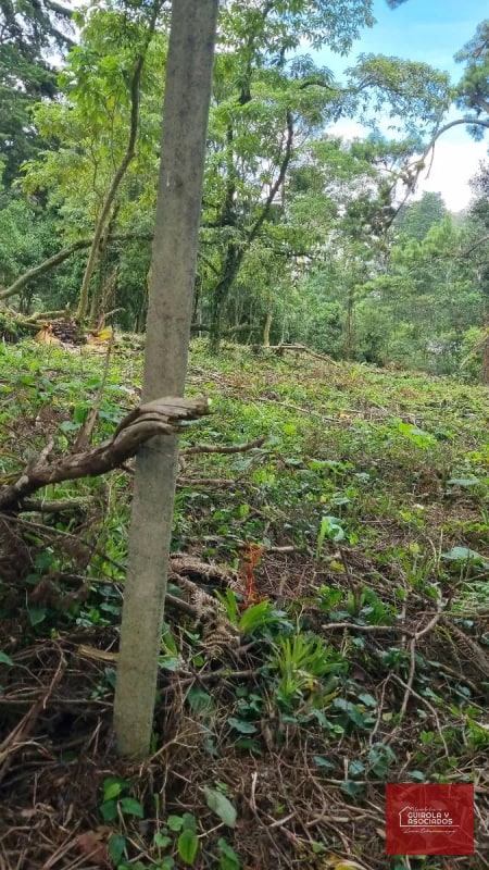 TERRENO EN VENTA EN STA ROSALIA - 2