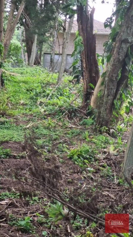 TERRENO EN VENTA EN STA ROSALIA - 1