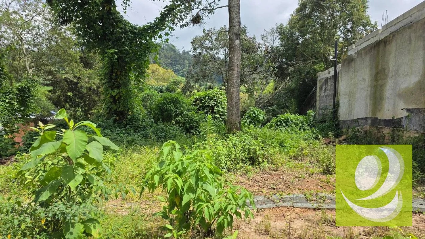 TERRENO EN VENTA EN LA MONTAÑA ZONA 16 - 2