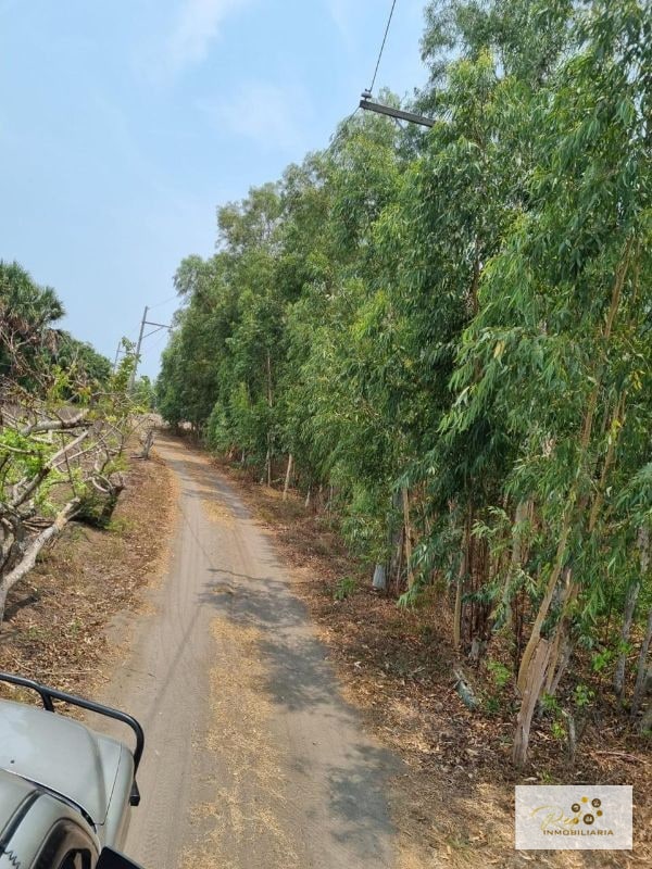 VENTA TERRENOS EN MONTERRICO - 10