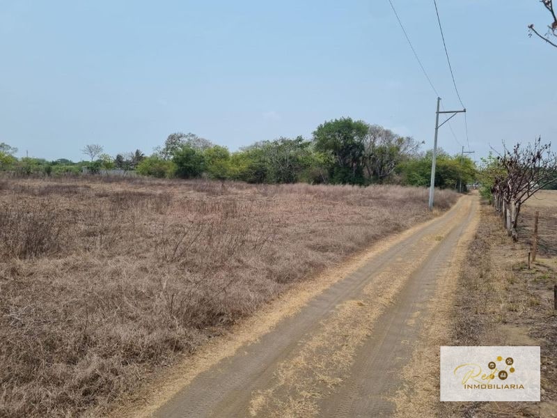 VENTA TERRENOS EN MONTERRICO - 1