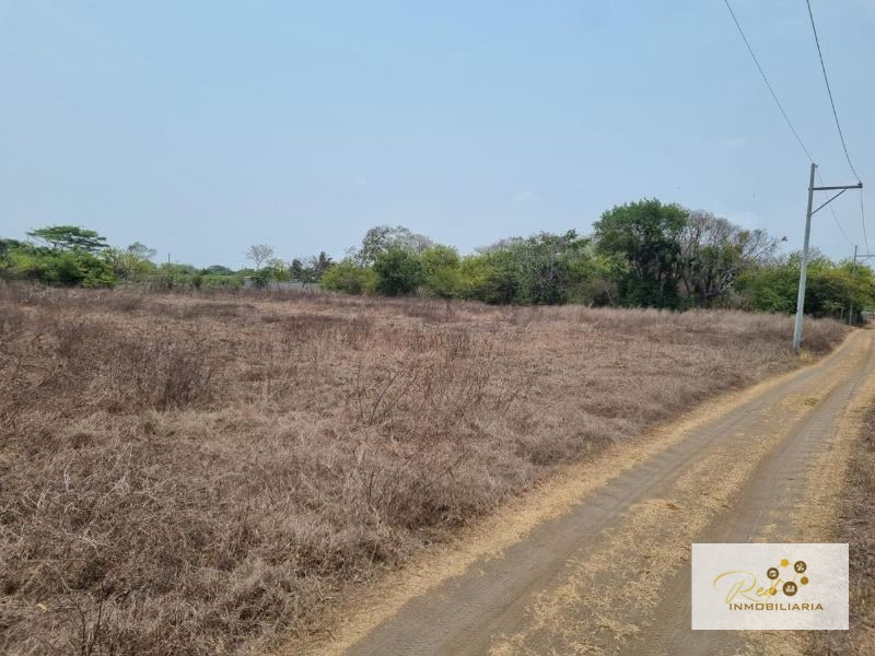VENTA TERRENOS EN MONTERRICO - 2