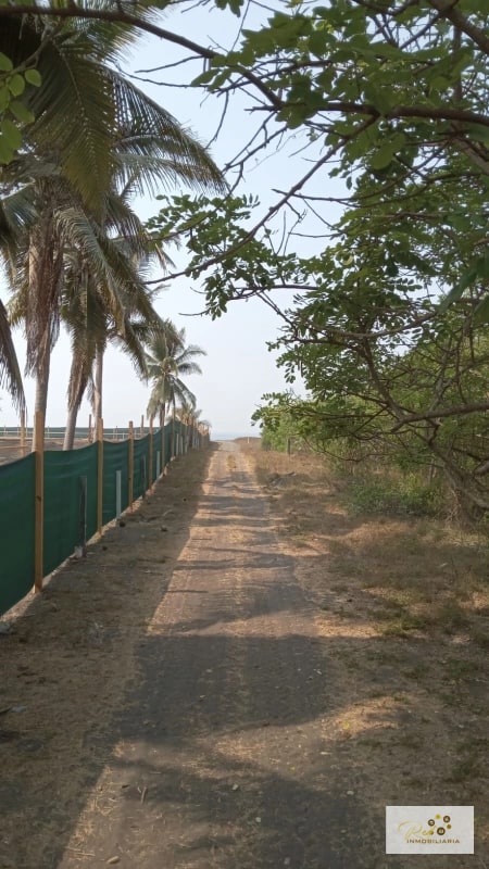 VENTA TERRENOS EN MONTERRICO - 11