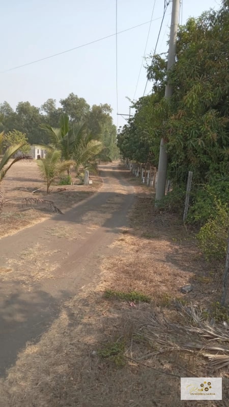 VENTA TERRENOS EN MONTERRICO - 6