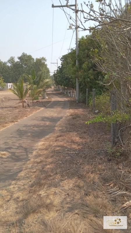 VENTA TERRENOS EN MONTERRICO - 7