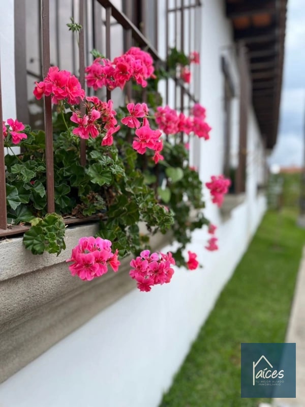 Casa PERLA en venta CLUB RES. LOS FRANCISCANOS ANTIGUA (D) - 7