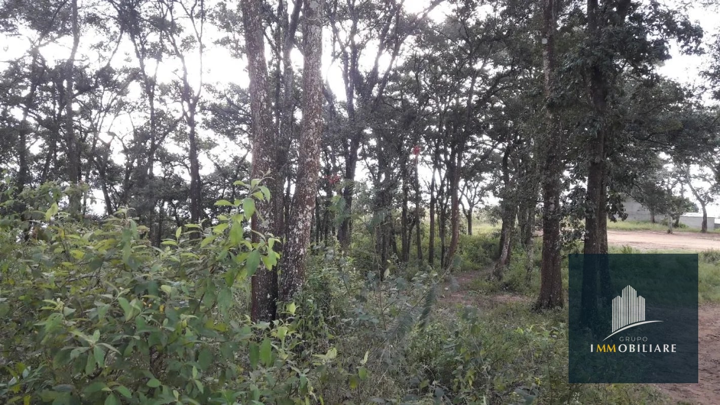 Terreno plano en venta zona 18 para desarrollo - 8