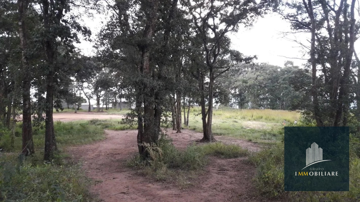 Terreno plano en venta zona 18 para desarrollo - 6