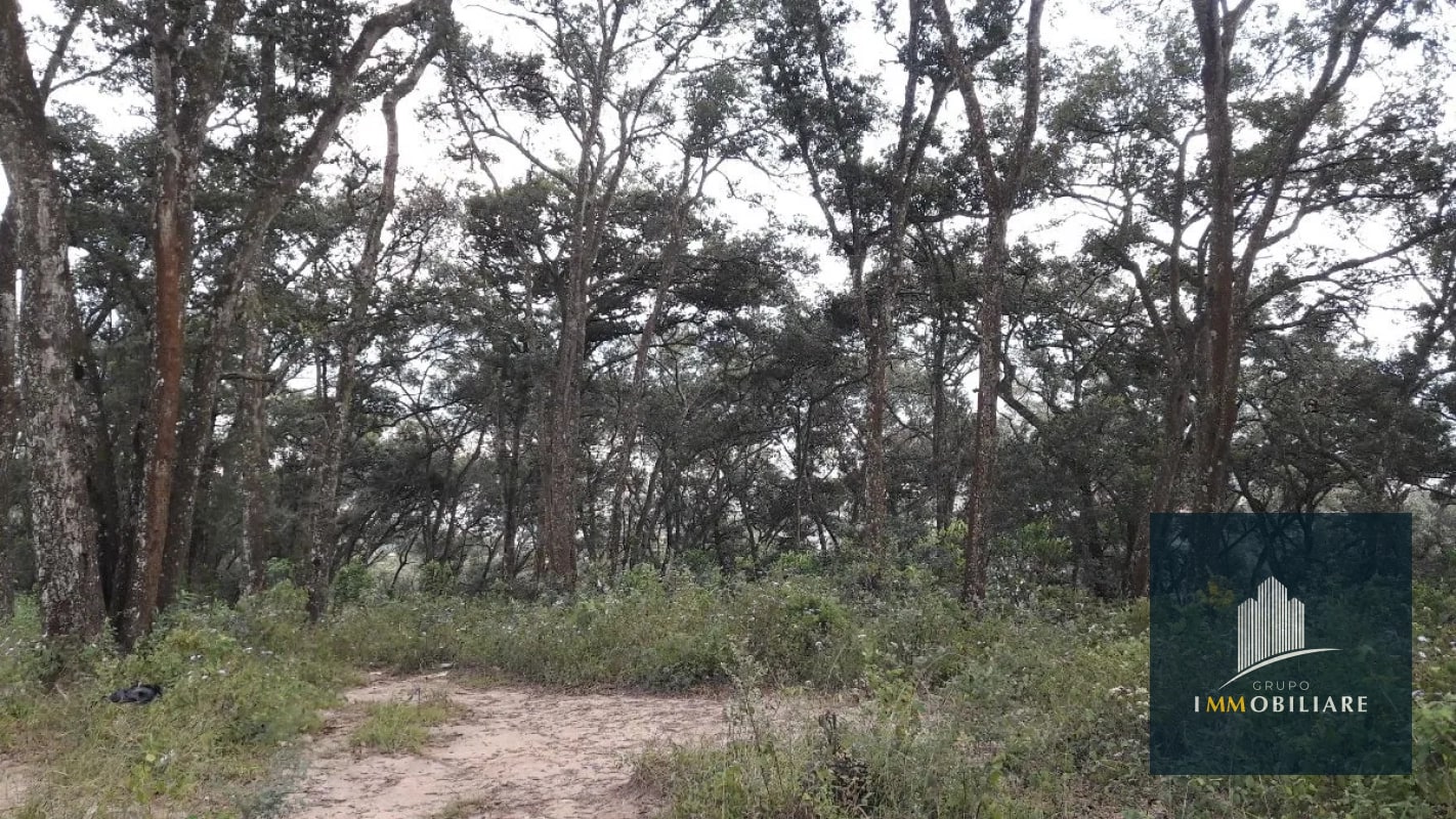 Terreno plano en venta zona 18 para desarrollo - 2