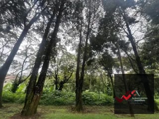 Terreno en venta Carretera a el Salvador km 22.5 Residencial Premier Campestre — Terreno en Venta en Premier Campestre, Carretera a El Salvador, Guatemala, Ciudad — miniatura 7 de 11