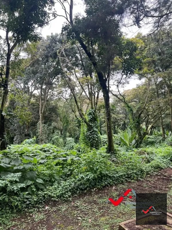 Terreno en venta Carretera a el Salvador km 22.5 Residencial Premier Campestre — Terreno en Venta en Premier Campestre, Carretera a El Salvador, Guatemala, Ciudad — foto 5 de 11