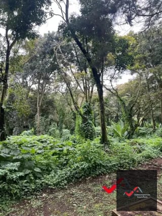 Terreno en venta Carretera a el Salvador km 22.5 Residencial Premier Campestre — Terreno en Venta en Premier Campestre, Carretera a El Salvador, Guatemala, Ciudad — miniatura 5 de 11