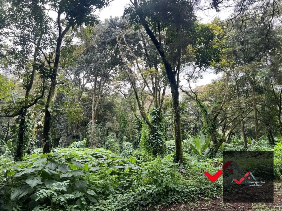 Terreno en venta Carretera a el Salvador km 22.5 Residencial Premier Campestre - 2