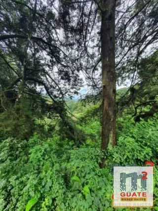 Terreno en Venta, Carretera a El Salvador — Terreno en Venta en Carretera a El Salvador, Guatemala, Ciudad — miniatura 3 de 8