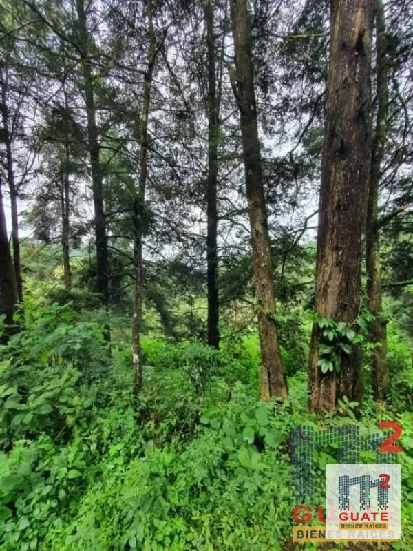 Terreno en Venta, Carretera a El Salvador — Terreno en Venta en Carretera a El Salvador, Guatemala, Ciudad — foto 2 de 8