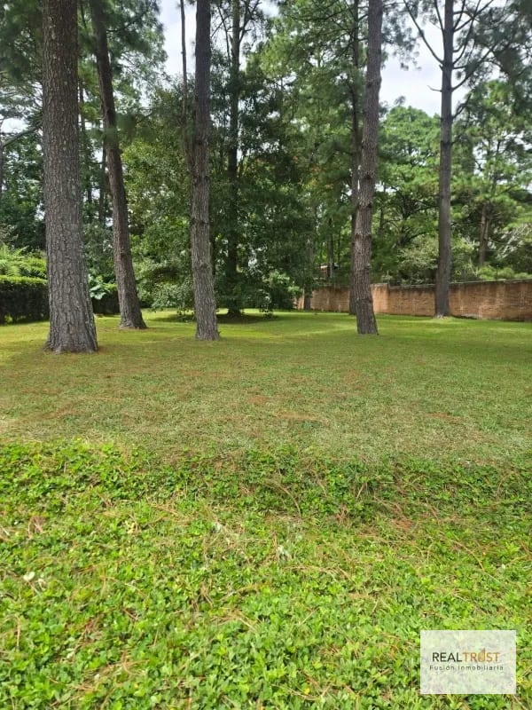 Precioso terreno plano Country Club Guatemala zona 11 — Terreno en Venta en Zona 11, Guatemala, Ciudad — foto 6 de 8