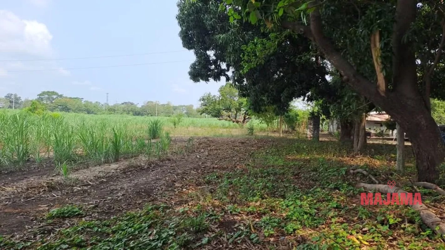 TERRENO EN VENTA EN ESCUINTLA, CODIGO 128_TV1 - 1