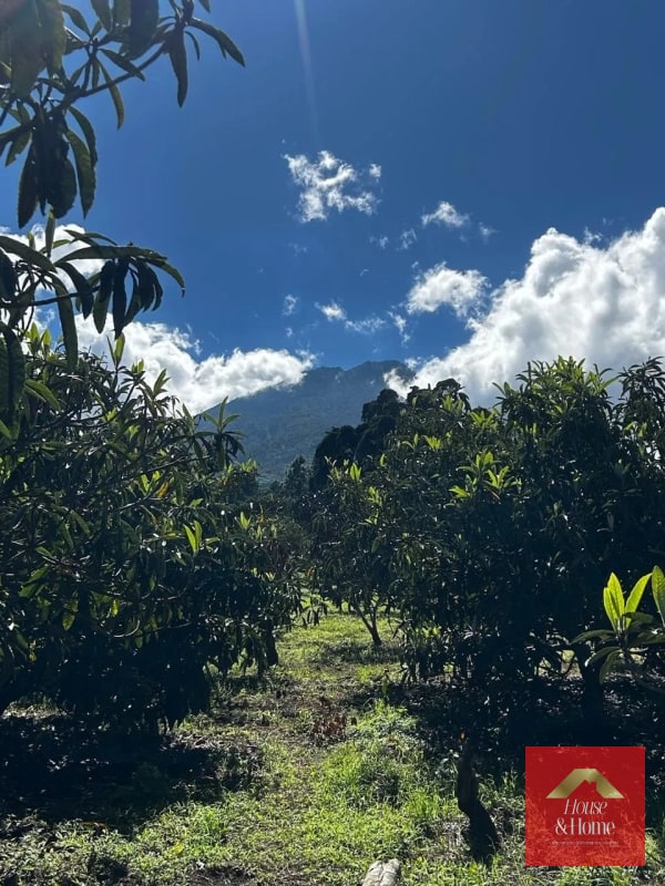 TERRENO EN VENTA SAN JUAN DEL OBISPO / Antigua Guatemala - 2