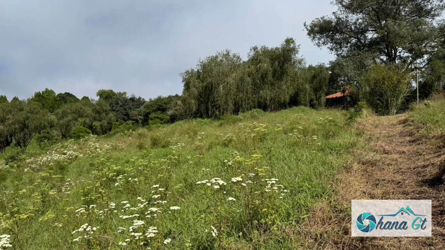 TERRENO EN VENTA KM16.5 CAES - 3