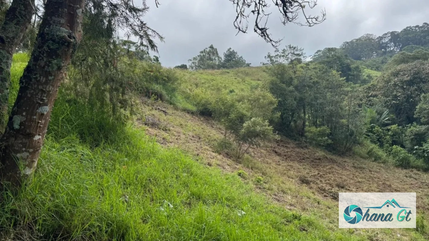 TERRENO EN VENTA KM16.5 CAES - 1