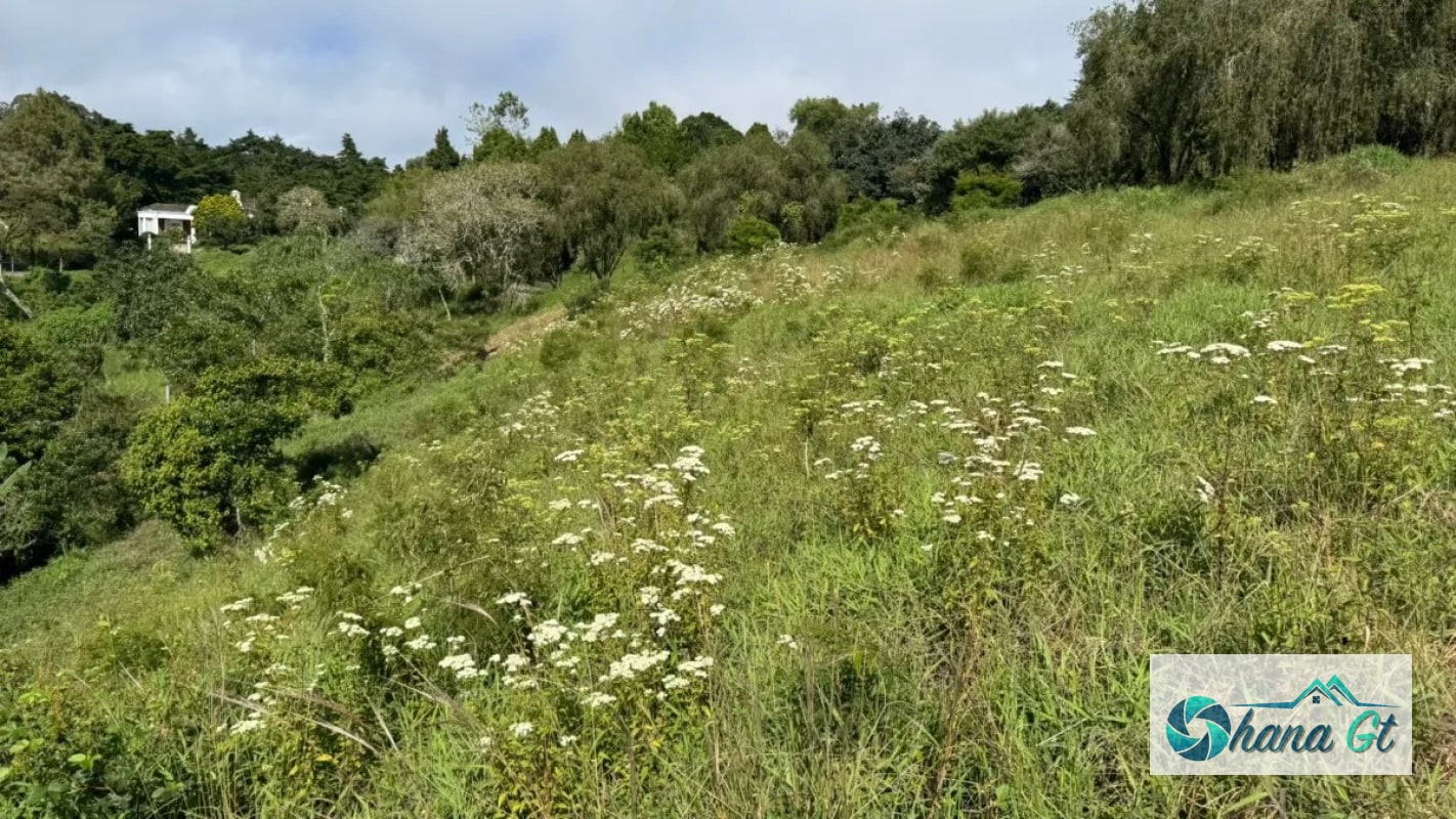 TERRENO EN VENTA KM16.5 CAES - 2