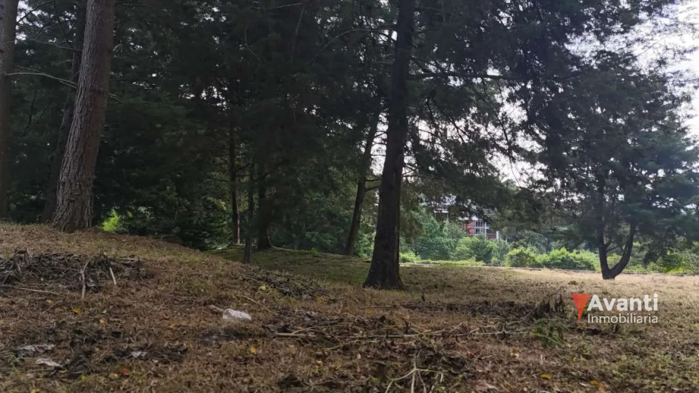 VENTA TERRENO CARRETERA A EL SALVADOR, KM.9 IDEAL PROYECTO CASAS - 7