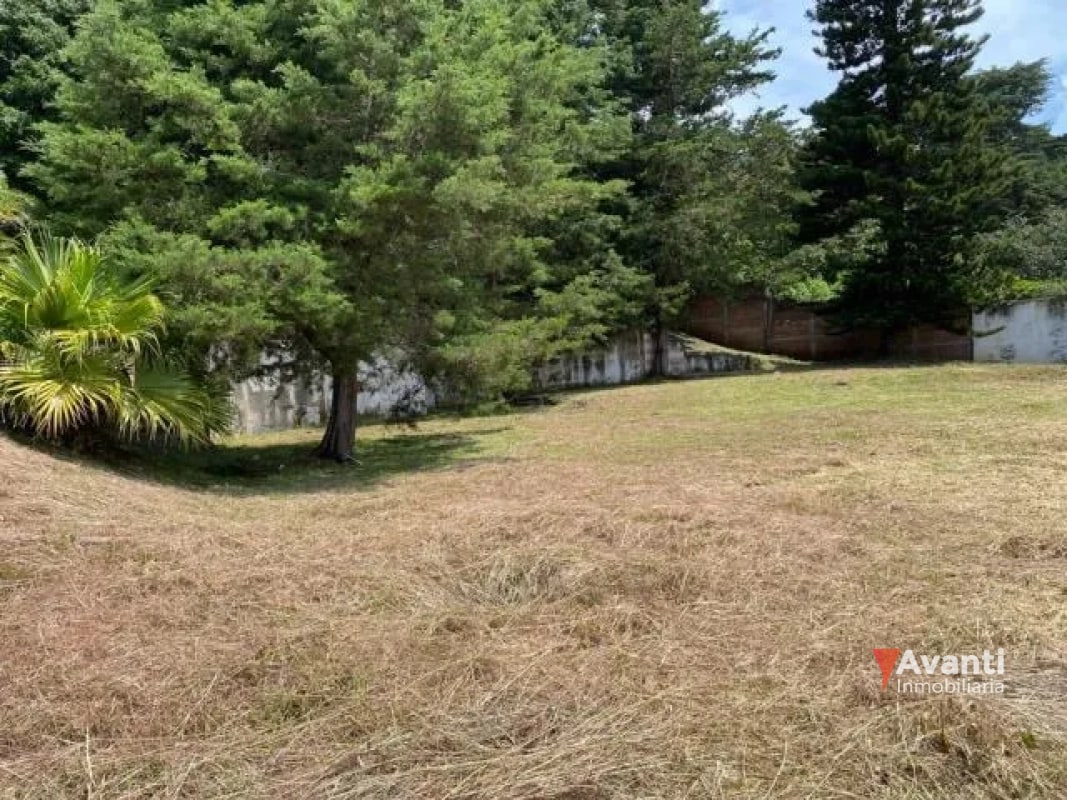 VENTA TERRENO CARRETERA A EL SALVADOR, KM.9 IDEAL PROYECTO CASAS - 3
