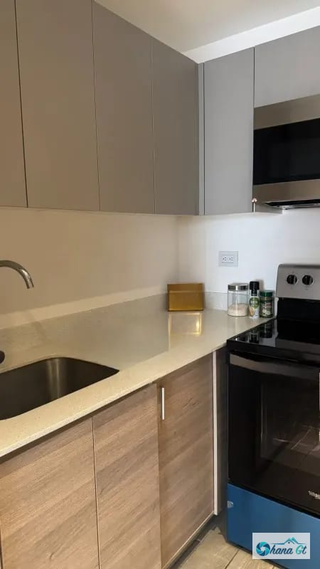 APARTAMENTO AMUEBLADO EN RENTA ZONA 10 EDIF. PARQUE 10 — Apartamento en Alquiler en Parque 10, Zona 10, Guatemala, Ciudad — foto 4 de 9