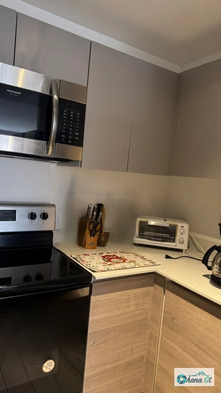 APARTAMENTO AMUEBLADO EN RENTA ZONA 10 EDIF. PARQUE 10 - 1