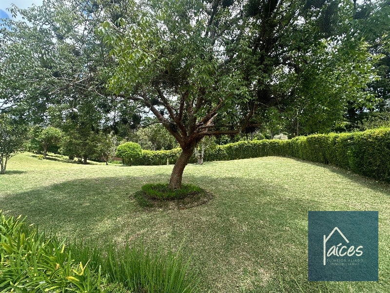Terreno en venta Km. 18.5 CES (D) - 2