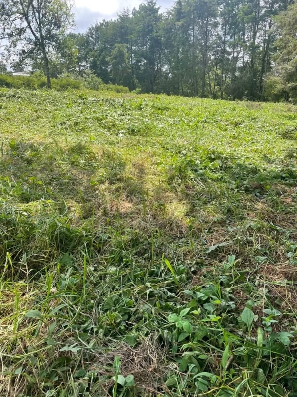 IDEAL PARA DESARROLLO VIVIENDA TERRENO EN KM 16 — Terreno en Venta en Carretera a El Salvador, Guatemala, Ciudad — foto 2 de 3