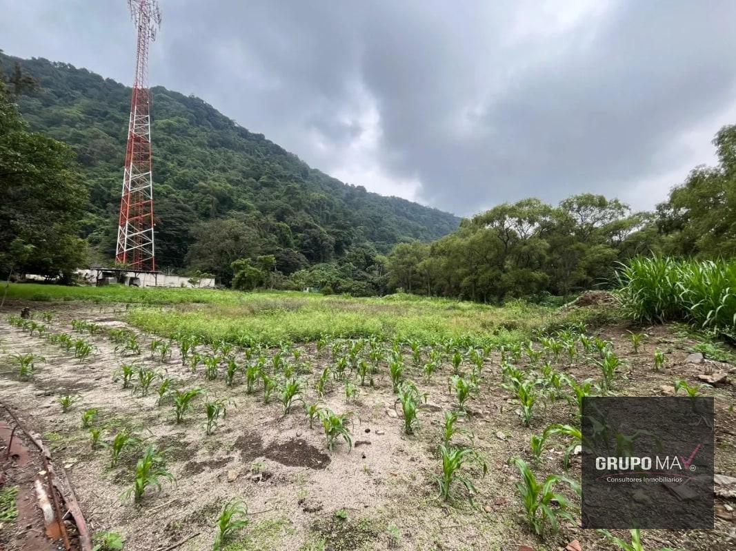 Terreno Los Sauces Km.37 Palín Escuintla - 6