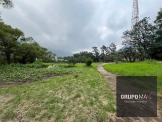 Terreno Los Sauces Km.37 Palín Escuintla — Terreno en Venta en Escuintla, Escuintla — miniatura 6 de 6
