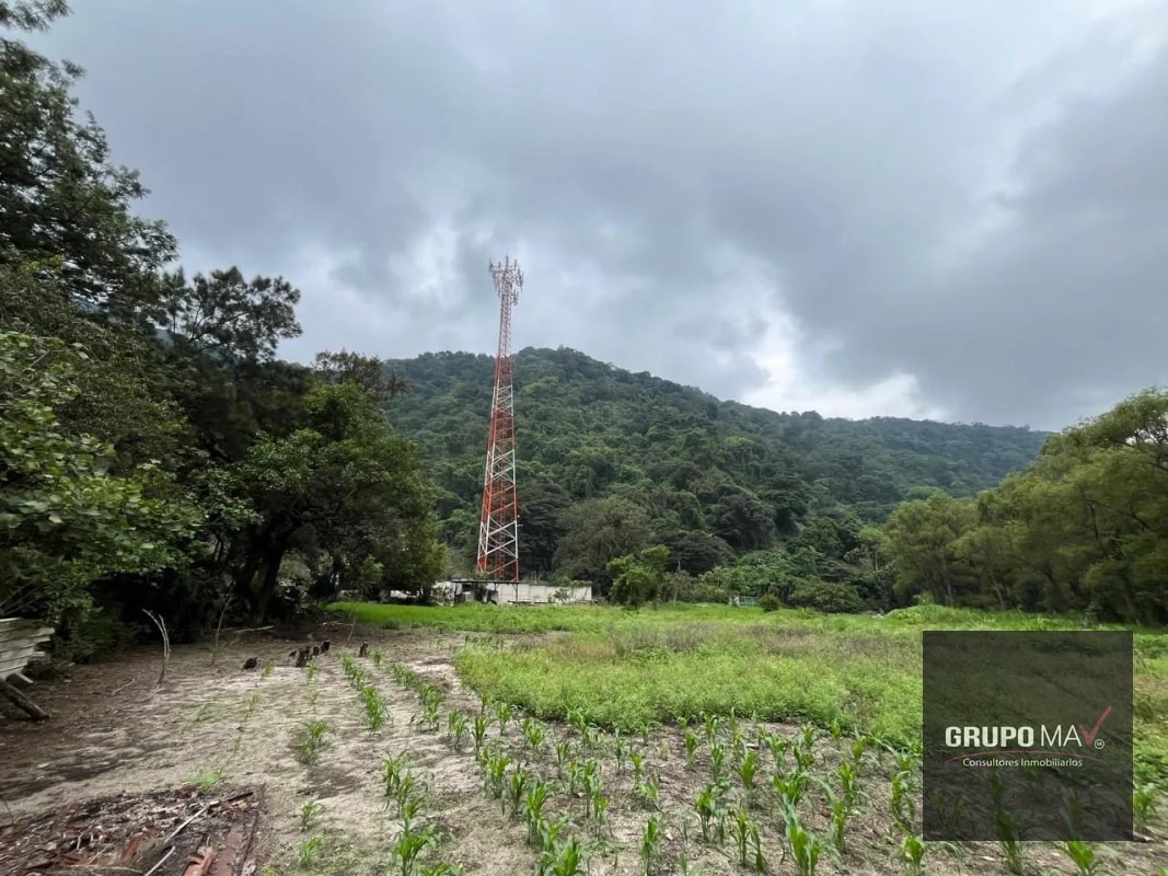 Terreno Los Sauces Km.37 Palín Escuintla - 4