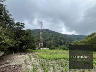 Terreno Los Sauces Km.37 Palín Escuintla — Terreno en Venta en Escuintla, Escuintla — miniatura 5 de 6